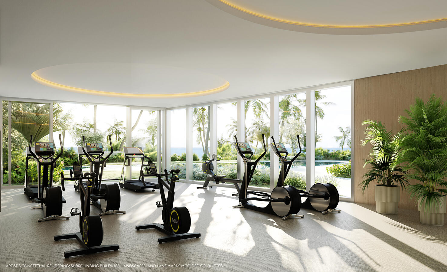 Gimnasio